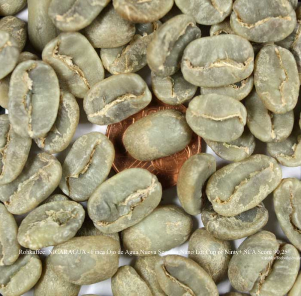 rohkaffee-nicaragua-finca-ojo-de-agua-nueva-segovia-nano-lot-cup-of-ninty-plus-rohkaffeebohnen-de