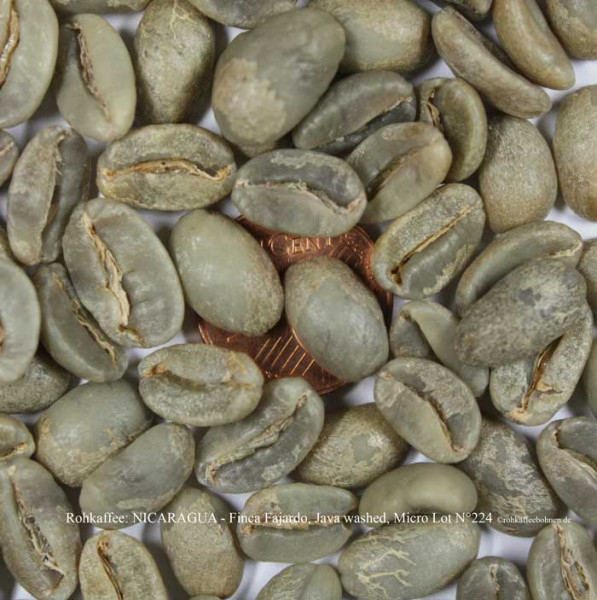 rohkaffee-nicaragua-finca-fajardo-java-washed-micro-lot-nr-224-rohkaffeebohnen-de