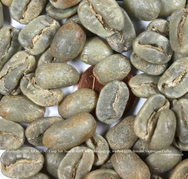 rohkaffee-nicaragua-coop-san-juan-de-rio-coco-maragogype-washed-shb-feinster-nicaragua-coffee-rohkaffeebohnen-de